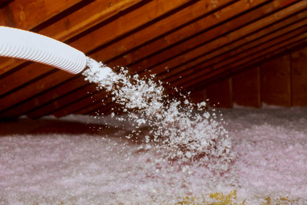 Best Insulation Materials and Products in Lee Acres, NM