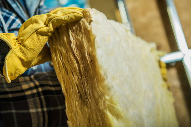 Best Insulation Maintenance and Repair in Lee Acres, NM